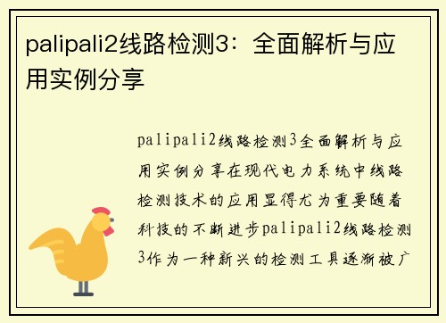 palipali2线路检测3：全面解析与应用实例分享